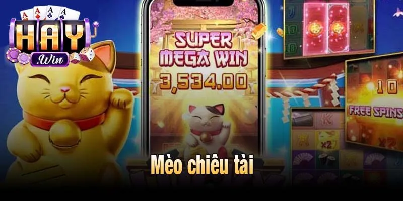 Mèo chiêu tài